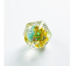 Magic Card Shop -Magic Card Shop gg rpgdice embraced green skull 2